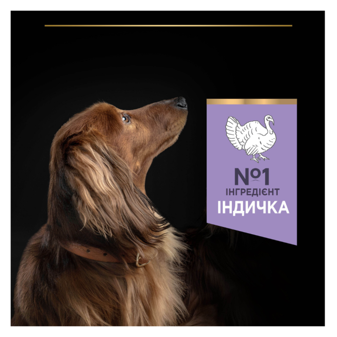 Purina Pro Plan Dog Adult Grain Free Small & Mini Sensitive Digestion Turkey Сухий беззерновий корм з індичкою для дорослих собак малих і мініатюрних порід із чутливим травленням 2,5кг