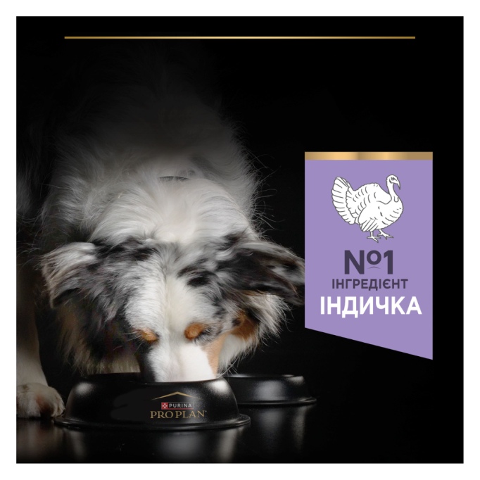 Purina Pro Plan Dog Adult Grain Free Medium & Large Sensitive Digestion Turkey Сухий беззерновий корм з індичкою для дорослих собак середніх і великих порід із чутливим травленням 12кг