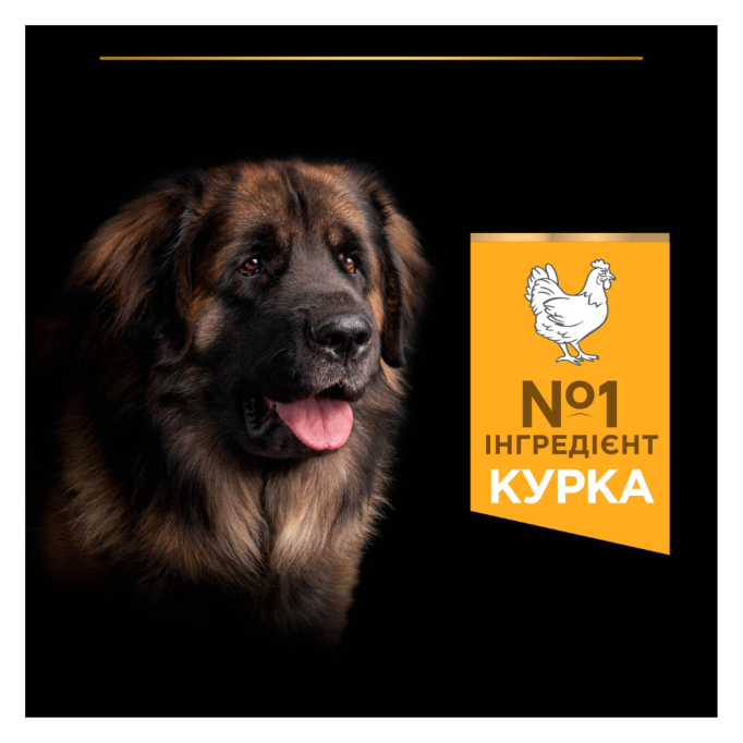 Purina Pro Plan Large Robust Adult Everyday Nutrion Chicken Сухий корм з куркою для дорослих собак великих і гігантських порід 14кг