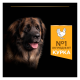 Purina Pro Plan Large Robust Adult Everyday Nutrion Chicken Сухий корм з куркою для дорослих собак великих і гігантських порід 14кг