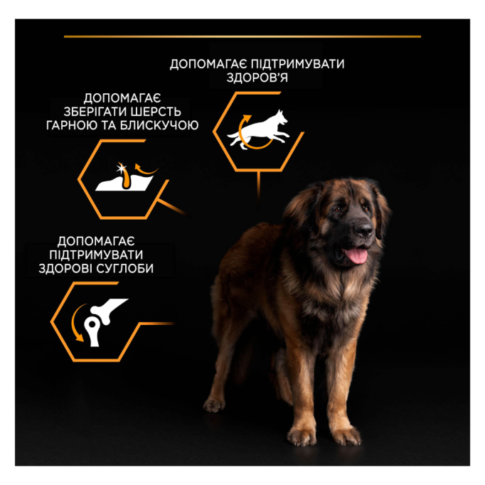 Purina Pro Plan Large Robust Adult Everyday Nutrion Chicken Сухий корм з куркою для дорослих собак великих і гігантських порід 14кг