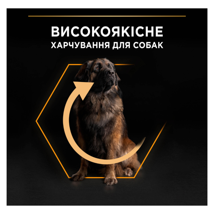 Purina Pro Plan Large Robust Adult Everyday Nutrion Chicken Сухий корм з куркою для дорослих собак великих і гігантських порід 14кг