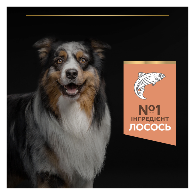 Purina Pro Plan Medium Adult Sensitive Skin Salmon Сухий корм з лососем для дорослих собак середніх порід із чутливою шкірою 14кг