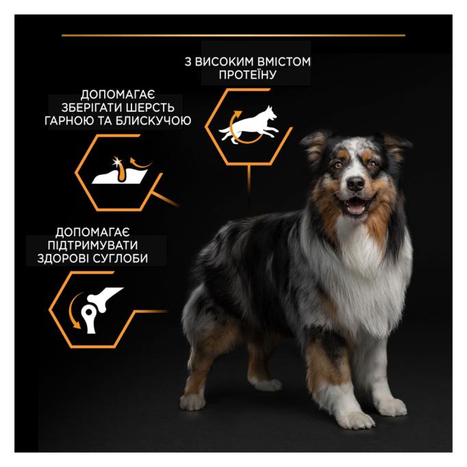Purina Pro Plan Dog Adult Medium Everyday Nutrion Сухий корм з куркою для дорослих собак середніх порід 14 кг