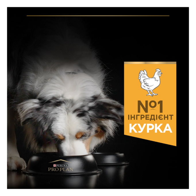 Purina Pro Plan Dog Adult Medium Everyday Nutrion Сухий корм з куркою для дорослих собак середніх порід 14 кг