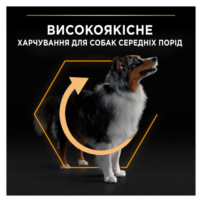 Purina Pro Plan Dog Adult Medium Everyday Nutrion Сухий корм з куркою для дорослих собак середніх порід 14 кг