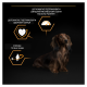 Purina Pro Plan Dog Adult Small & Mini Everyday Nutrion Сухий корм з куркою для дорослих собак малих і мініатюрних порід 3кг