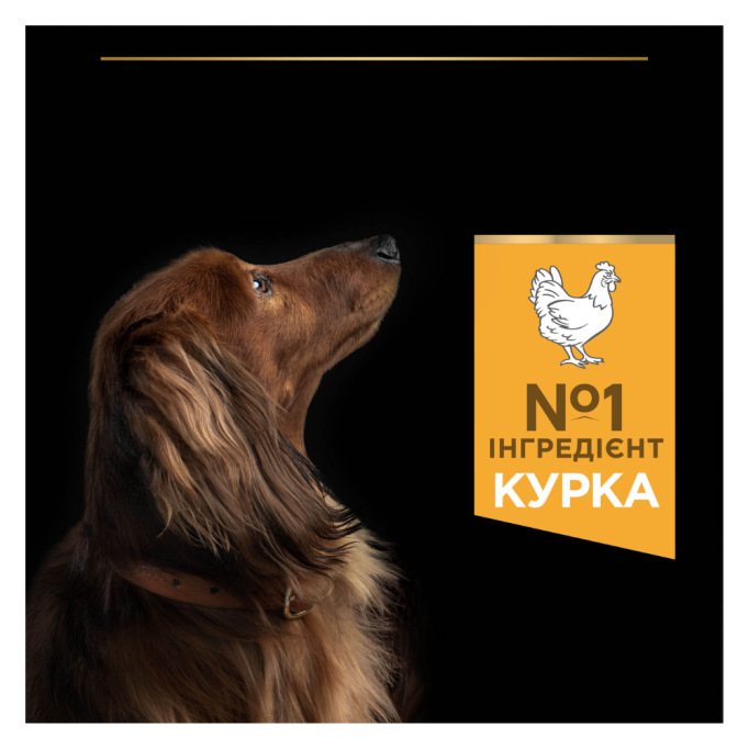Purina Pro Plan Dog Adult Small & Mini Everyday Nutrion Сухий корм з куркою для дорослих собак малих і мініатюрних порід 3кг