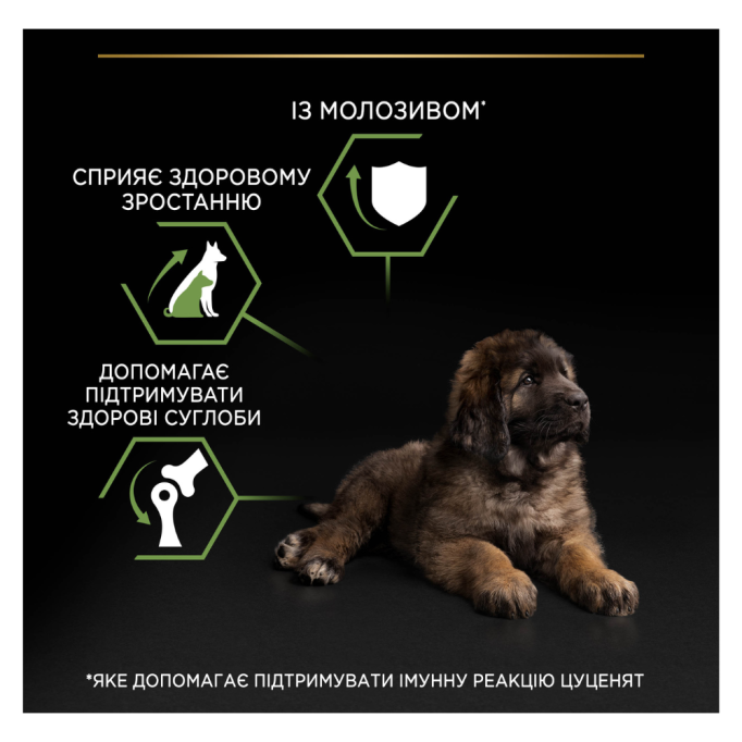 Purina Pro Plan Puppy Large Robust Healthy Start Сухий корм з куркою для цуценят і юніорів великих і гігантських порід 12кг