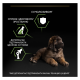 Purina Pro Plan Puppy Large Robust Healthy Start Сухий корм з куркою для цуценят і юніорів великих і гігантських порід 12кг