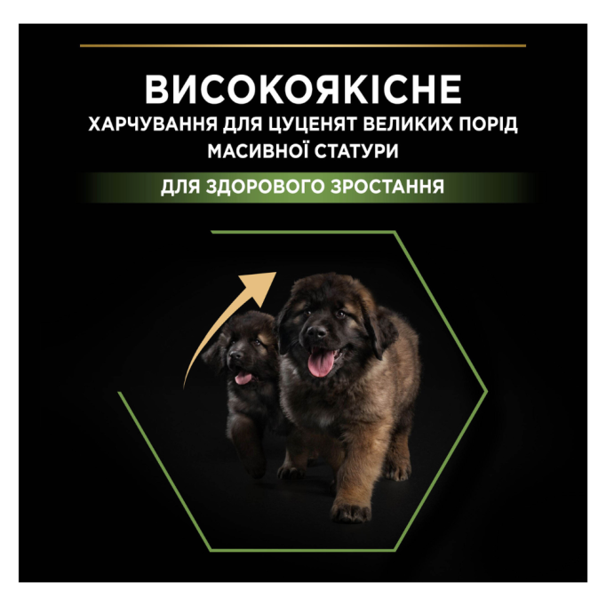 Purina Pro Plan Puppy Large Robust Healthy Start Сухий корм з куркою для цуценят і юніорів великих і гігантських порід 12кг