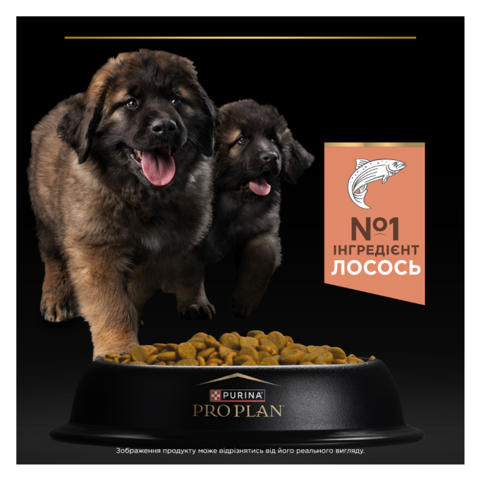 Purina Pro Plan Large Robust Puppy Sensitive Skin Сухий корм з лососем для цуценят великих порід масивної статури, з чутливою шкірою 12кг