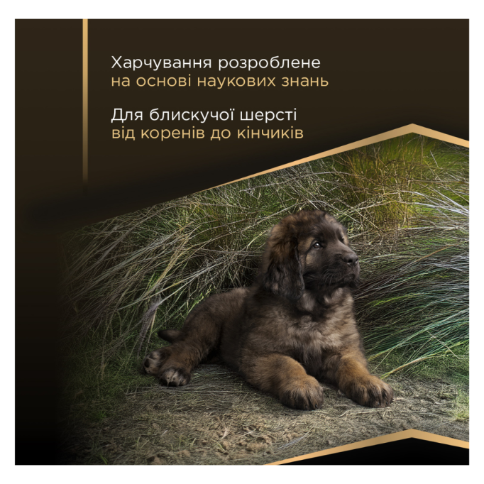 Purina Pro Plan Large Robust Puppy Sensitive Skin Сухий корм з лососем для цуценят великих порід масивної статури, з чутливою шкірою 12кг