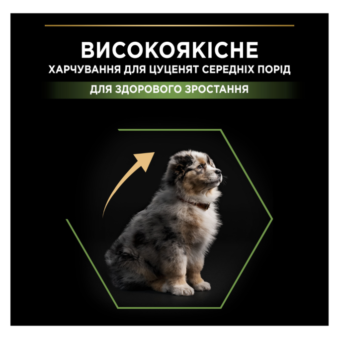 Purina Pro Plan Puppy Medium Healthy Start Сухий корм з куркою для цуценят середніх порід 12кг