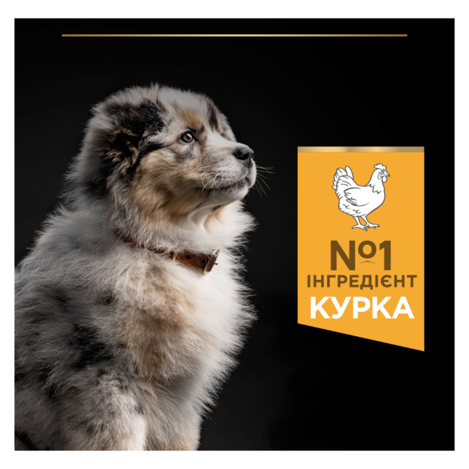 Purina Pro Plan Puppy Medium Healthy Start Сухий корм з куркою для цуценят середніх порід 12кг