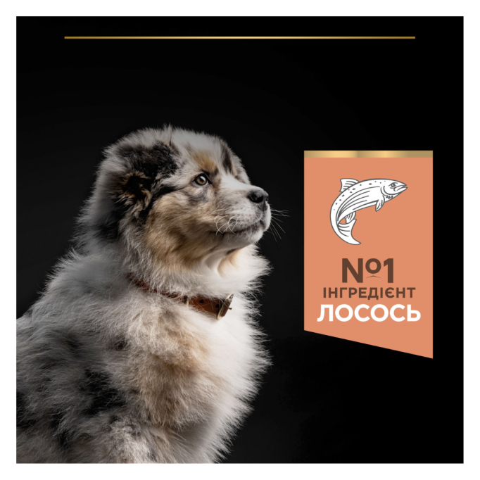 Purina Pro Plan Puppy Medium Sensitive Skin OptiDerma Salmon Сухий корм з лососем для цуценят середніх порід із чутливою шкірою 12кг