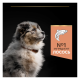 Purina Pro Plan Puppy Medium Sensitive Skin OptiDerma Salmon Сухий корм з лососем для цуценят середніх порід із чутливою шкірою 12кг