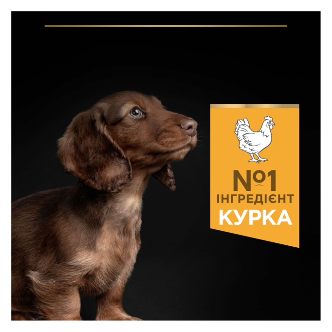 Purina Pro Plan Puppy Small & Mini Healthy Start Сухий корм з куркою для цуценят малих і мініатюрних порід 3кг