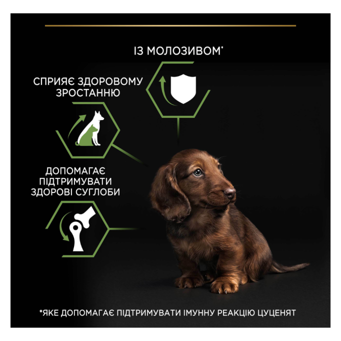 Purina Pro Plan Puppy Small & Mini Healthy Start Сухий корм з куркою для цуценят малих і мініатюрних порід 3кг