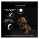 Purina Pro Plan Puppy Small & Mini Healthy Start Сухий корм з куркою для цуценят малих і мініатюрних порід 3кг