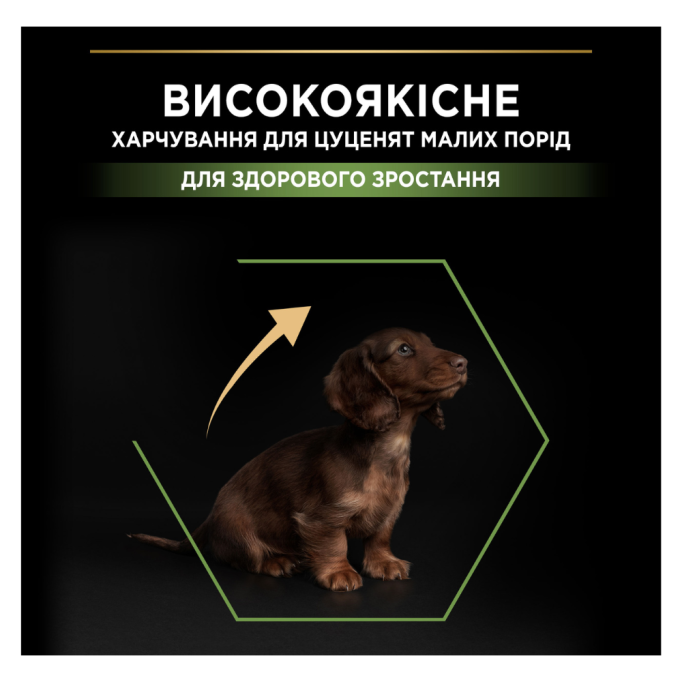 Purina Pro Plan Puppy Small & Mini Healthy Start Сухий корм з куркою для цуценят малих і мініатюрних порід 3кг