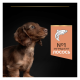 Purina Pro Plan Small&Mini Puppy Sensitive Skin Salmon Сухий корм з лососем для цуценят малих порід із чутливою шкірою 3кг