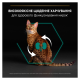 Purina Pro Plan Adult Renal Plus Сухий корм з куркою для дорослих котів 14кг