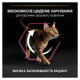 Purina Pro Plan Cat Adult Delicate Digestion Lamb Сухий корм з ягням для дорослих котів з чутливим травленням та вибагливих до їжі 1,5кг