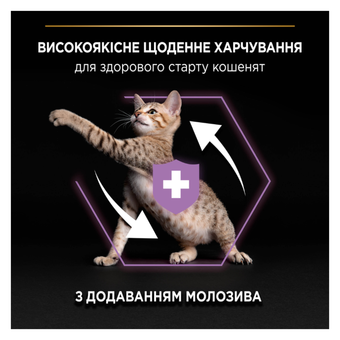 Purina Pro Plan Kitten Healthy Start Chicken Сухий корм з куркою для кошенят, вагітних і годуючих кішок 1,5кг