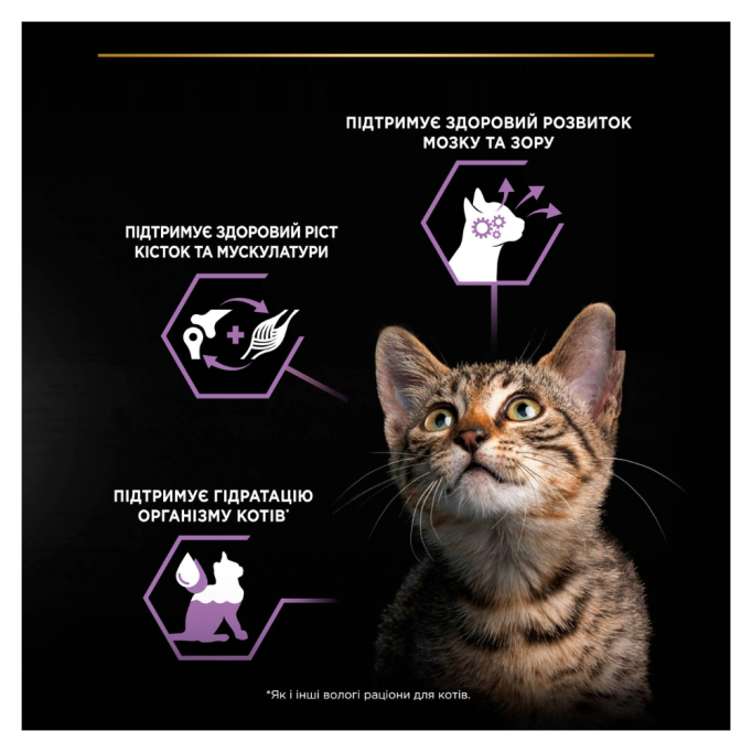Purina Pro Plan Kitten Healthy Start Turkey Шматочки з індичкою для кошенят (в соусі) 85г 26шт