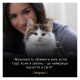 Purina Pro Plan LiveClear Kitten Turkey Сухий корм з індичкою для кошенят для зменшення алергенів на шерсті 1,4к