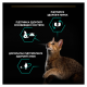 Purina Pro Plan Cat Adult Sterilised Renal Plus Turkey Сухий корм з індичкою для дорослих котів після стерилізації 1,5кг