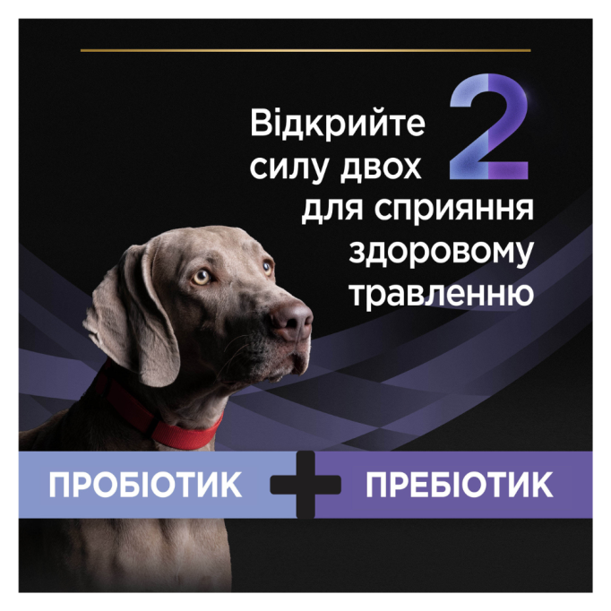 Purina Pro Plan FortiFlora Plus Canine Пробіотик з пребіотиком для собак та цуценят, підтримка мікрофлори ШКТ 2г 30шт