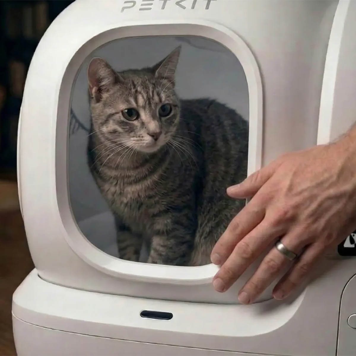 Огляд автоматичного лотка для котів: чи варто купувати у 2025–2026?