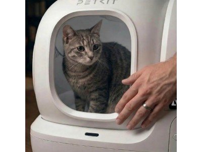 Огляд автоматичного лотка для котів: чи варто купувати у 2025–2026?