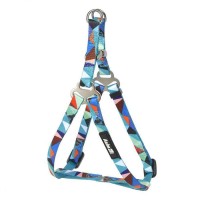 AnimAll Шлея нейлонова з абстрактним малюнком на бірюзовому тлі L