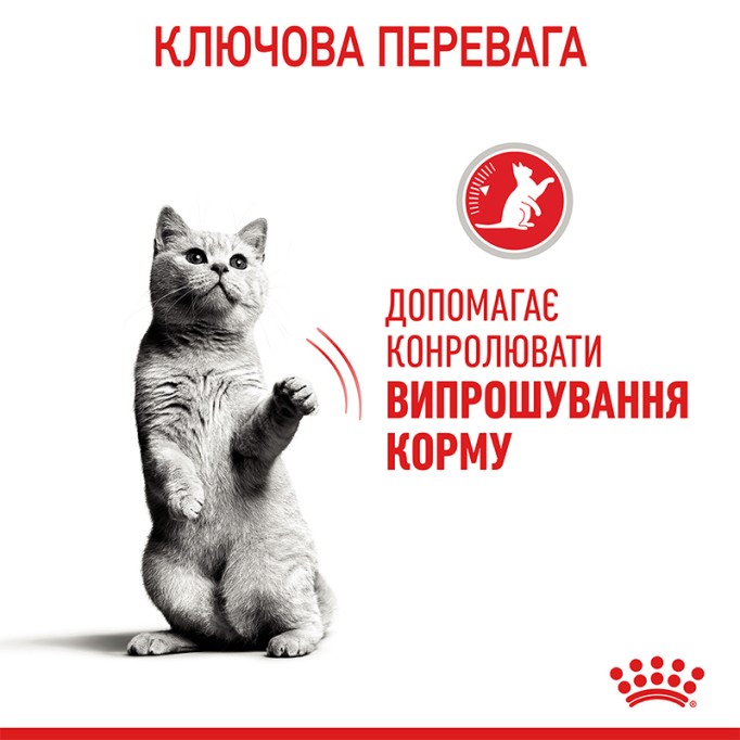 Royal Canin Appetite Control Сухий корм для дорослих котів схильних до набору зайвої ваги, в тому числі після стерилізації 2кг
