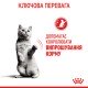 Royal Canin Appetite Control Сухий корм для дорослих котів схильних до набору зайвої ваги, в тому числі після стерилізації 2 кг