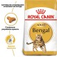 Royal Canin Bengal Adult Сухий корм для дорослих котів Бенгальської породи 2кг