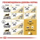 Royal Canin British Shorthair Adult Сухий корм для дорослих котів породи Британська короткошерста 10кг