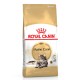 Royal Canin Maine Coon Adult Сухий корм для дорослих котів породи Мейн-Кун 2 кг