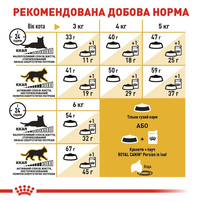 Royal Canin Persian Adult Сухий корм для дорослих котів Персидської породи 2 кг