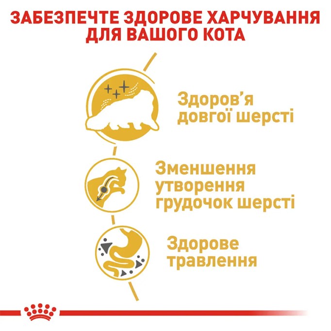 Royal Canin Persian Adult Сухий корм для дорослих котів Персидської породи 2 кг