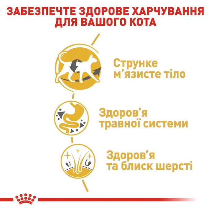 Royal Canin Siamese Adult Сухий корм для дорослих котів Сіамської породи 400 г