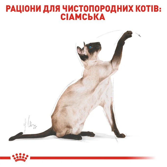 Royal Canin Siamese Adult Сухий корм для дорослих котів Сіамської породи 400 г