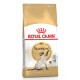 Royal Canin Siamese Adult Сухий корм для дорослих котів Сіамської породи 400 г