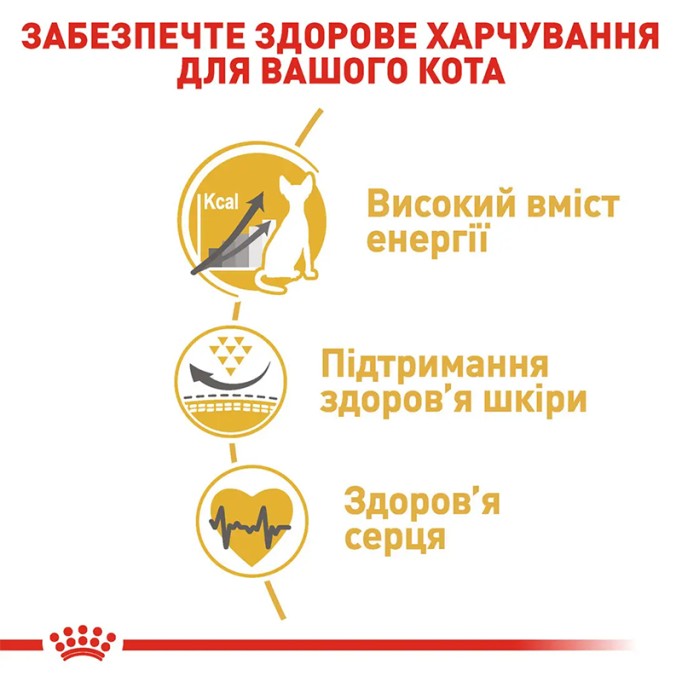 Royal Canin Sphynx Adult Сухий корм для дорослих котів породи Сфінкс 2 кг