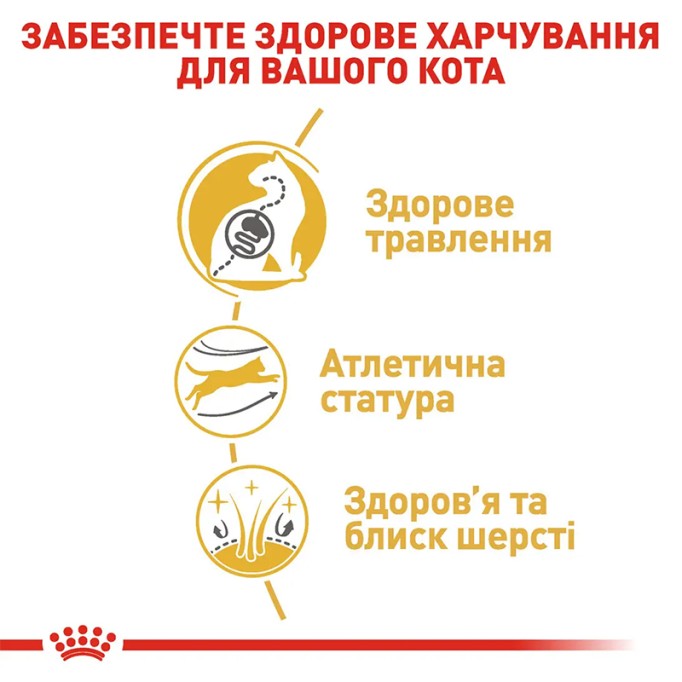Royal Canin Bengal Adult Сухий корм для дорослих котів Бенгальської породи 2кг