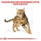 Royal Canin Bengal Adult Сухий корм для дорослих котів Бенгальської породи 2кг