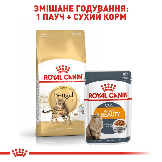 Royal Canin Bengal Adult Сухий корм для дорослих котів Бенгальської породи 2кг